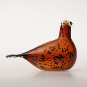 Birds Pekkasiini コッパーブラウン 0265