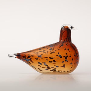 Birds Pekkasiini コッパーブラウン 0266