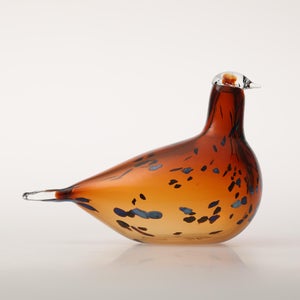 Birds Pekkasiini コッパーブラウン 0267