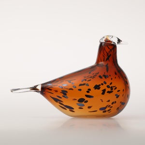 Birds Pekkasiini コッパーブラウン 0268