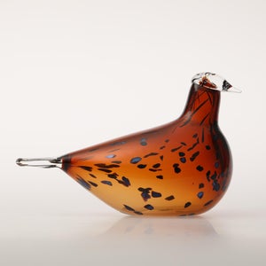 Birds Pekkasiini コッパーブラウン 0269