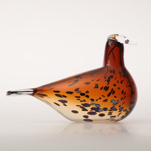 Birds Pekkasiini コッパーブラウン 0270