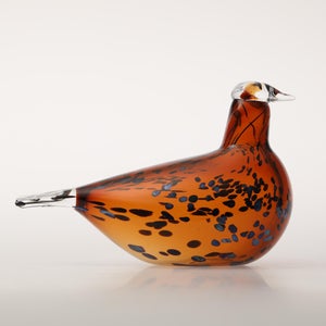 Birds Pekkasiini コッパーブラウン 0271