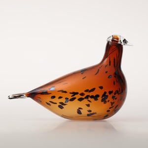 Birds Pekkasiini コッパーブラウン 0272