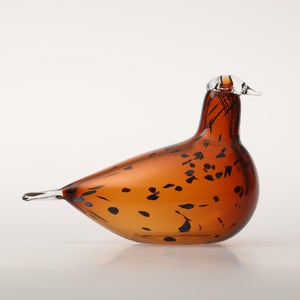 Birds Pekkasiini コッパーブラウン 0273