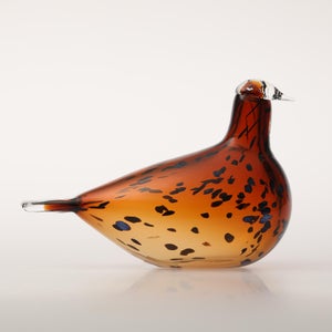 Birds Pekkasiini コッパーブラウン 0274