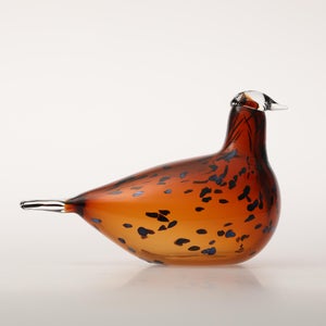 Birds Pekkasiini コッパーブラウン 0275