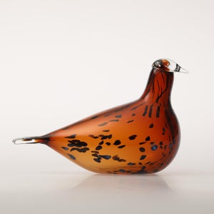 Birds Pekkasiini コッパーブラウン 0276