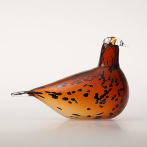 Birds Pekkasiini コッパーブラウン 0277