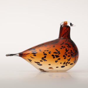 Birds Pekkasiini コッパーブラウン 0278