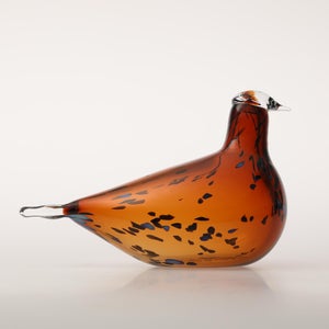 Birds Pekkasiini コッパーブラウン 0279