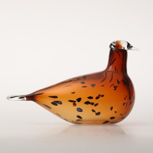 Birds Pekkasiini コッパーブラウン 0280