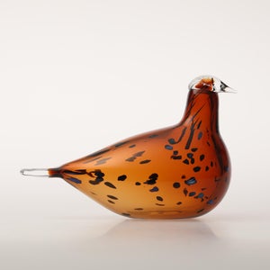 Birds Pekkasiini コッパーブラウン 0281