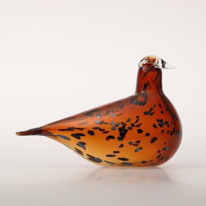 Birds Pekkasiini コッパーブラウン 0282