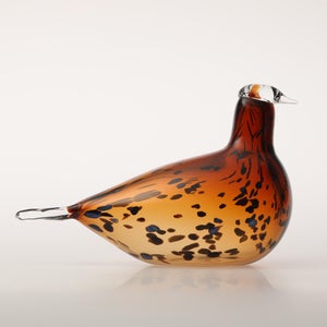 Birds Pekkasiini コッパーブラウン 0283