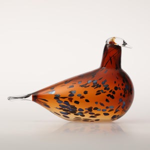 Birds Pekkasiini コッパーブラウン 0284