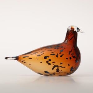 Birds Pekkasiini コッパーブラウン 0285