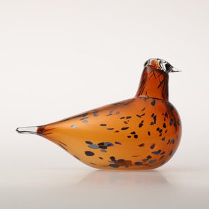 Birds Pekkasiini コッパーブラウン 0286