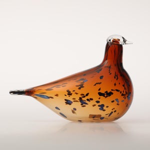 Birds Pekkasiini コッパーブラウン 0287