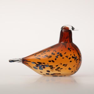 Birds Pekkasiini コッパーブラウン 0288