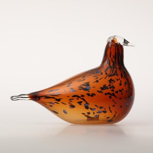 Birds Pekkasiini コッパーブラウン 0289