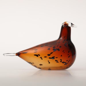 Birds Pekkasiini コッパーブラウン 0290