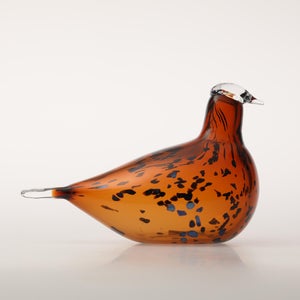 Birds Pekkasiini コッパーブラウン 0291