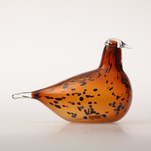 Birds Pekkasiini コッパーブラウン 0292