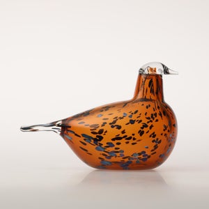 Birds Pekkasiini コッパーブラウン 0293