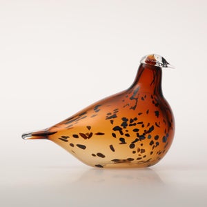 Birds Pekkasiini コッパーブラウン 0294