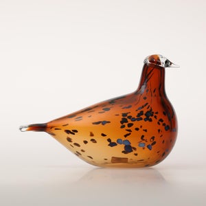 Birds Pekkasiini コッパーブラウン 0295