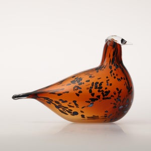 Birds Pekkasiini コッパーブラウン 0296