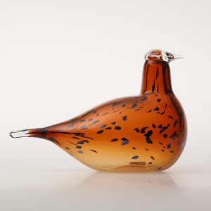 Birds Pekkasiini コッパーブラウン 0297