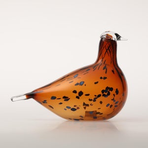 Birds Pekkasiini コッパーブラウン 0298