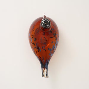 Birds Pekkasiini コッパーブラウン 0002