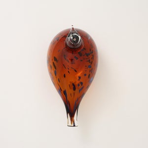 Birds Pekkasiini コッパーブラウン 0007