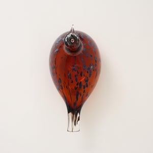 Birds Pekkasiini コッパーブラウン 0018