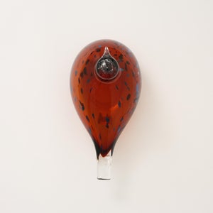 Birds Pekkasiini コッパーブラウン 0021