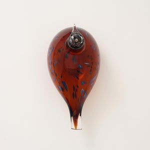 Birds Pekkasiini コッパーブラウン 0025