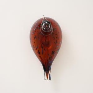 Birds Pekkasiini コッパーブラウン 0029