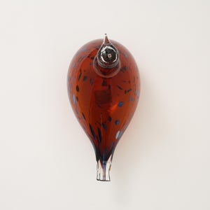 Birds Pekkasiini コッパーブラウン 0045