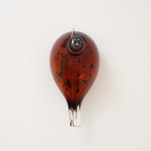 Birds Pekkasiini コッパーブラウン 0054