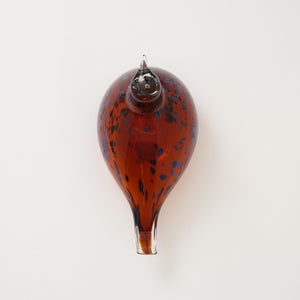 Birds Pekkasiini コッパーブラウン 0059