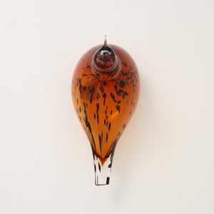 Birds Pekkasiini コッパーブラウン 0061