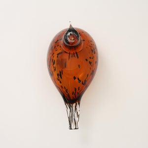 Birds Pekkasiini コッパーブラウン 0063