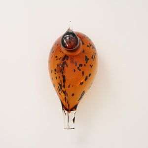 Birds Pekkasiini コッパーブラウン 0064