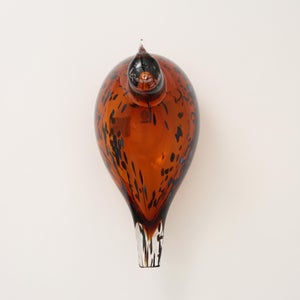 Birds Pekkasiini コッパーブラウン 0065