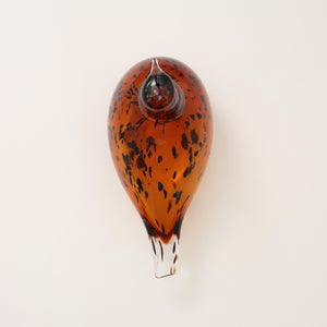 Birds Pekkasiini コッパーブラウン 0066