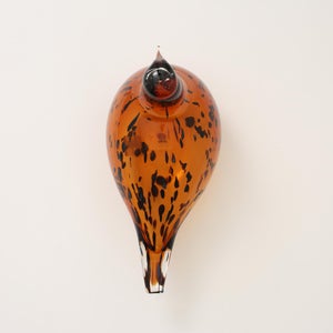 Birds Pekkasiini コッパーブラウン 0067