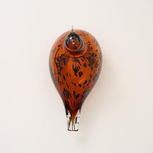 Birds Pekkasiini コッパーブラウン 0069